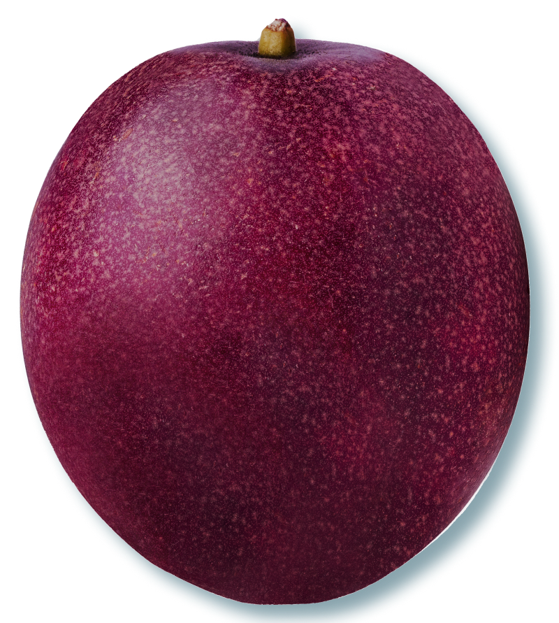 A passion fruit with its deep purple outer skin
